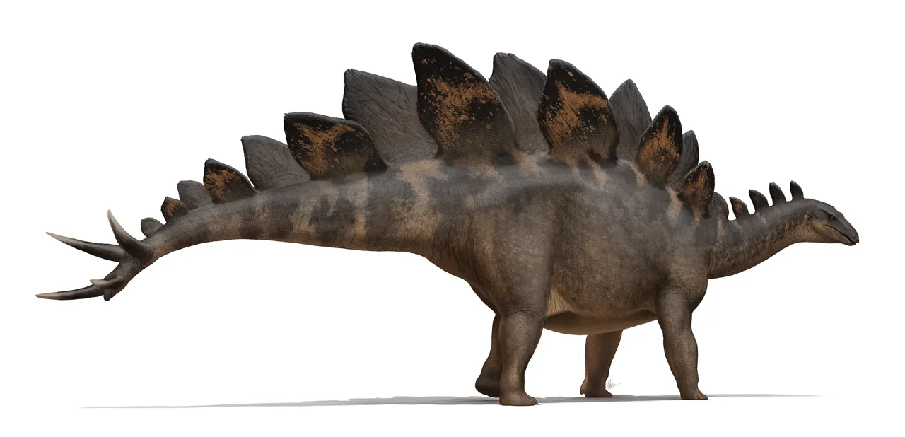 Life reconstruction of Stegosaurus