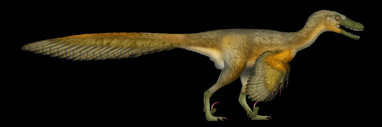 Life reconstruction of Velociraptor