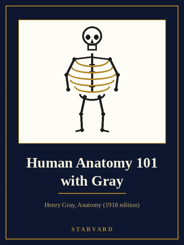 A friendly human skeleton figure with a skull, gold ribs, and jointed arms and legs, drawn in black and gold lines on a cream panel above the course title.